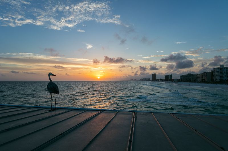 Panama City фото превью
