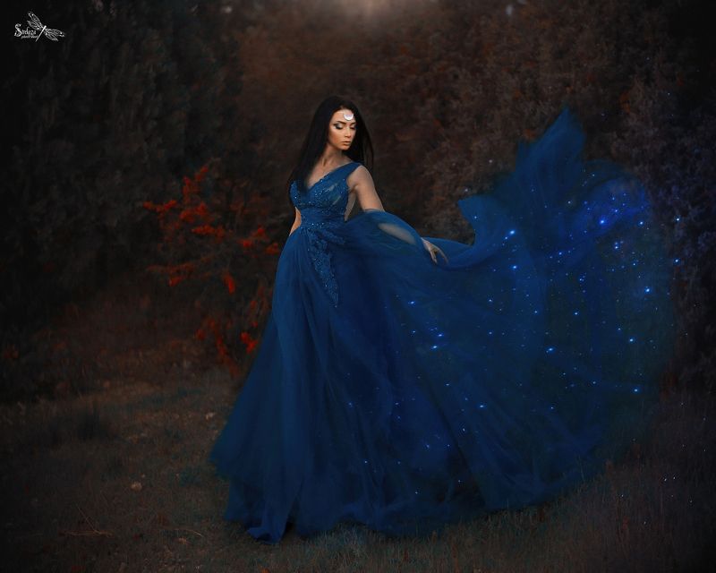 FAIRY NIGHT  фото превью