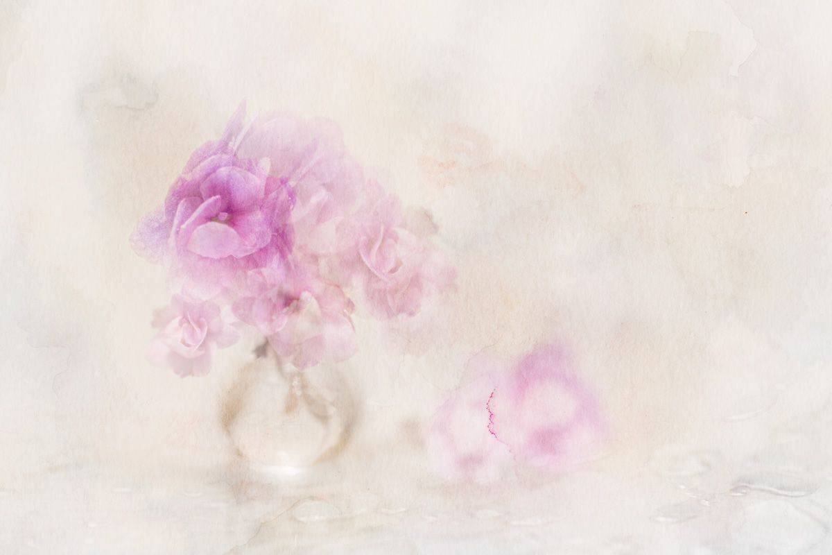 close-up, Игорь Копцев