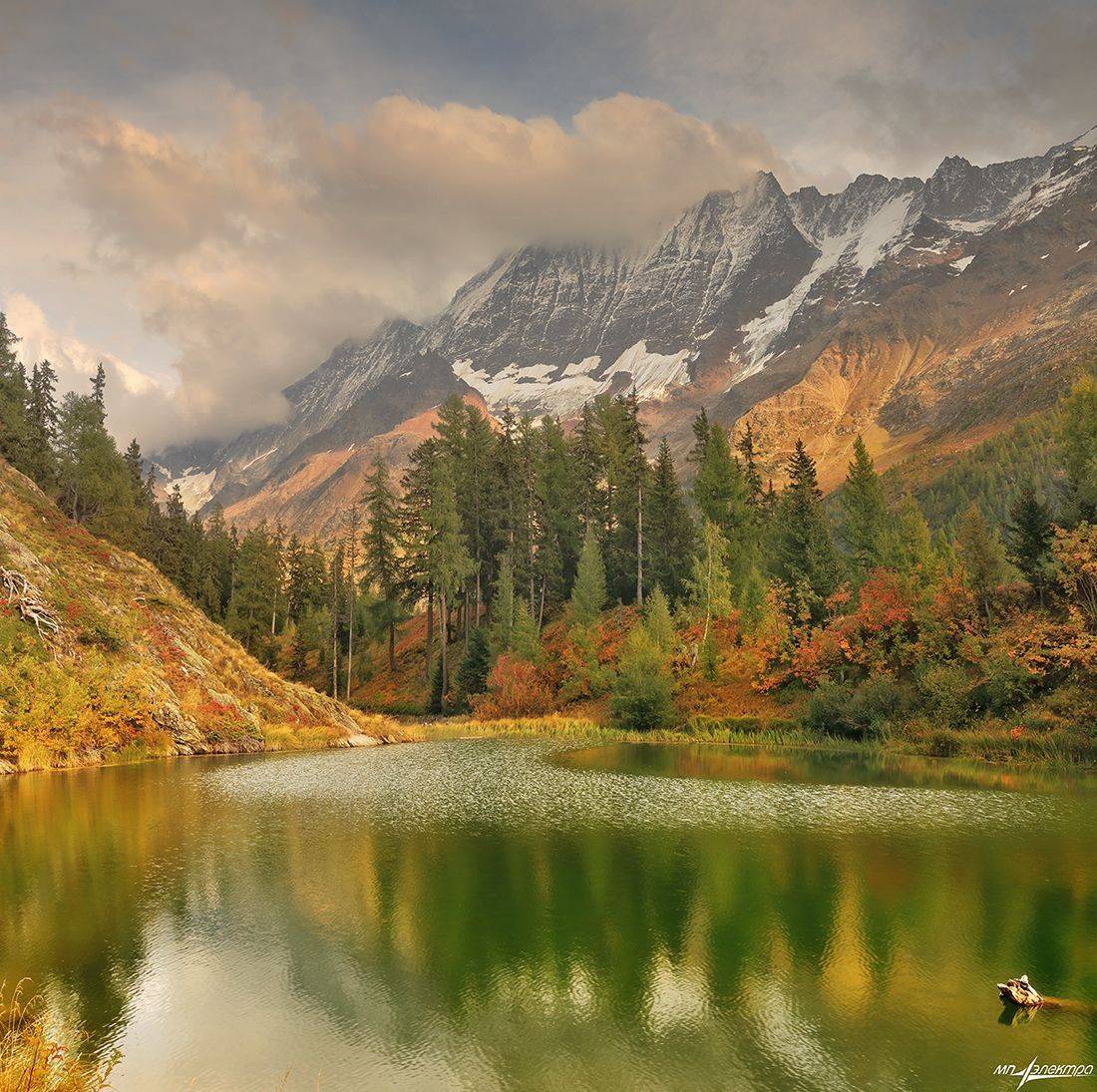 swiss, Матвеев Николай