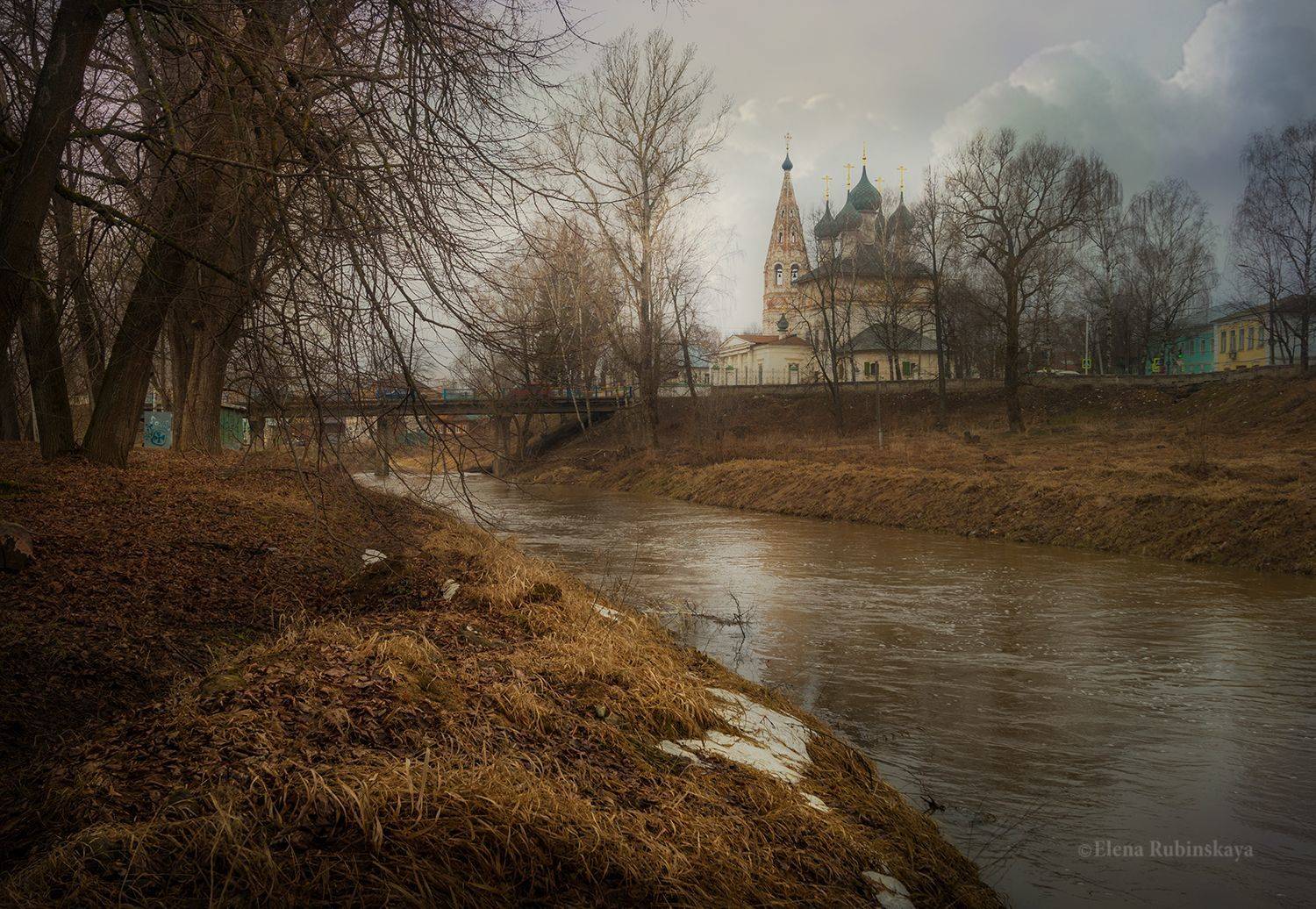 нерехта, костромская область, Елена Рубинская
