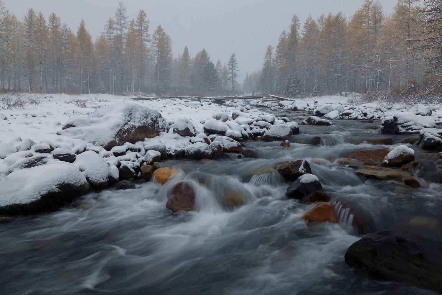 алтай, Писарев Александр
