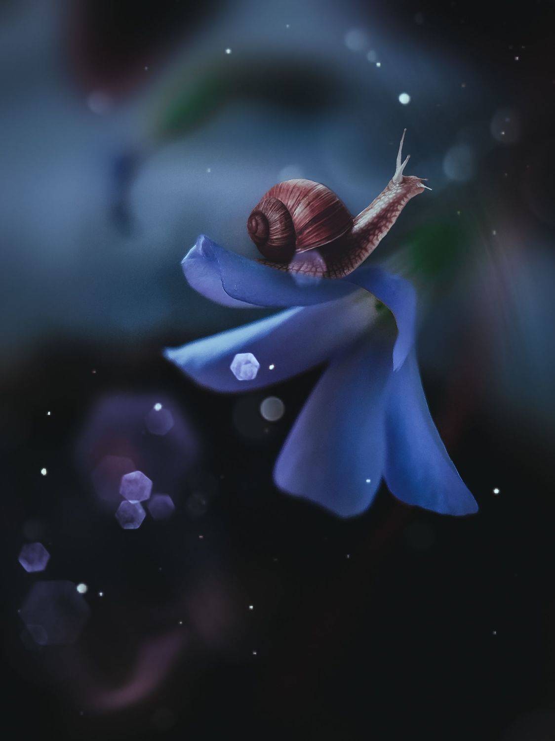 макро, цветы, природа, насекомые, красота, Smirnova Olga