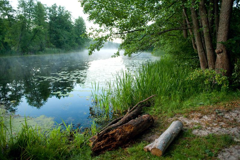 усманка, воронежская область, рамонь Усманка в нежной дымке фото превью