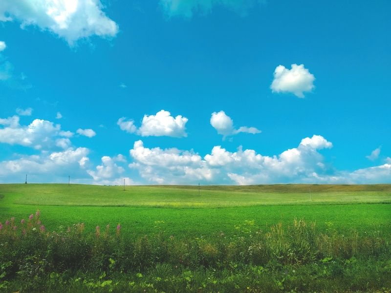 Windows. Plotnikovo Edition фото превью