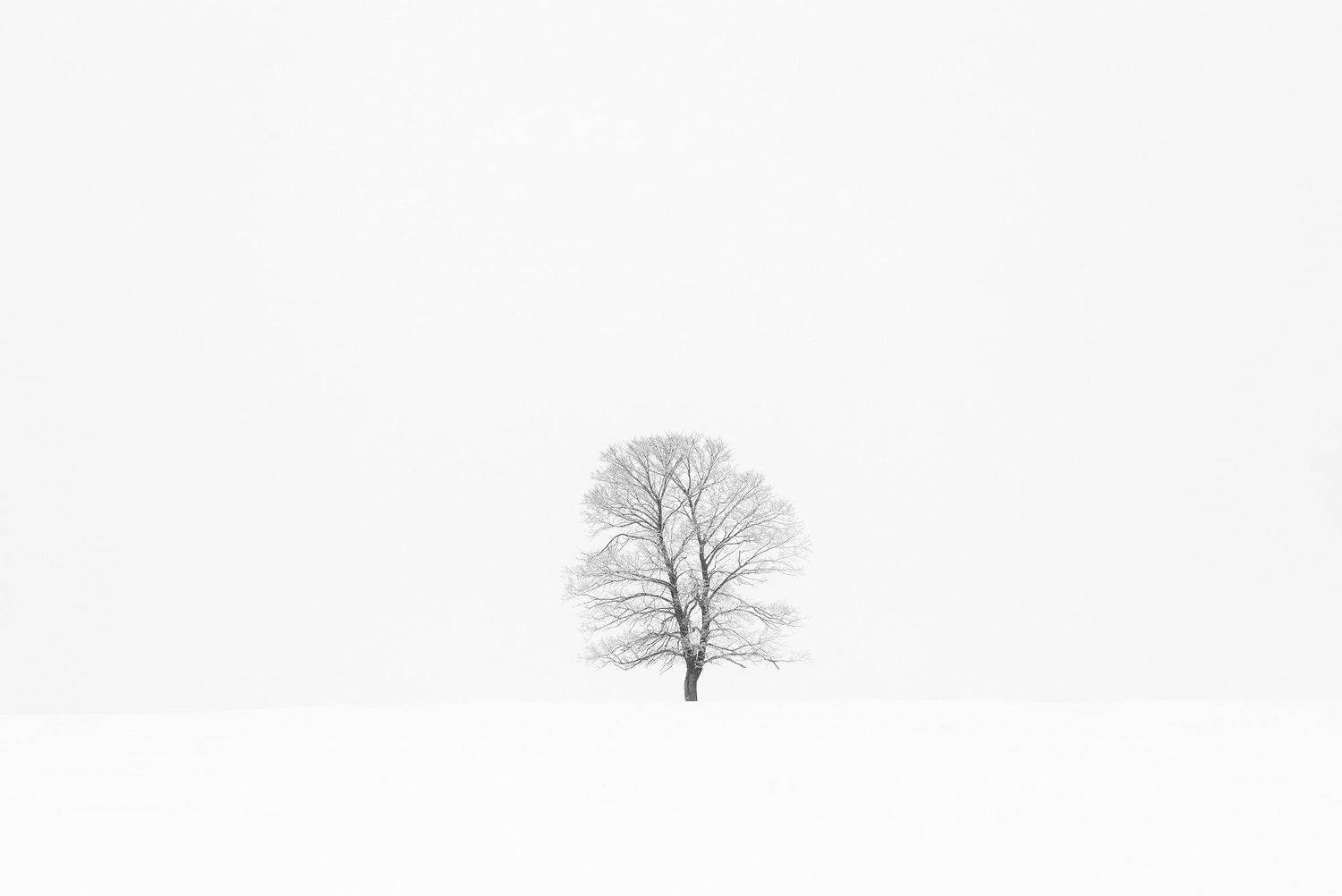 , Бирюкова Татьяна