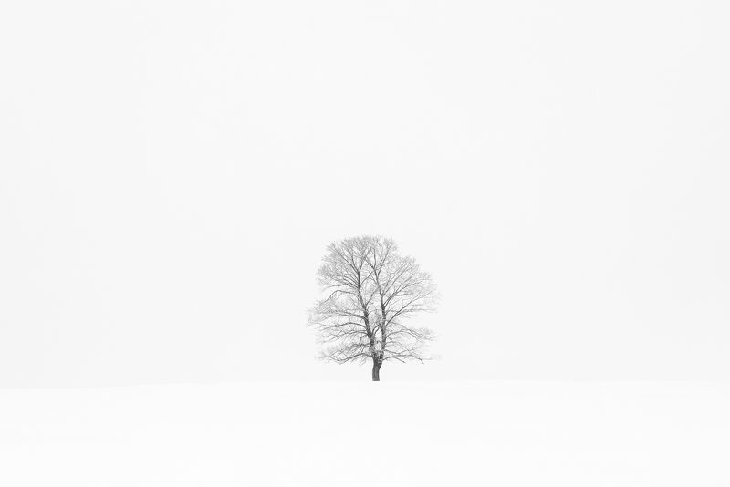 Всегда один фото превью