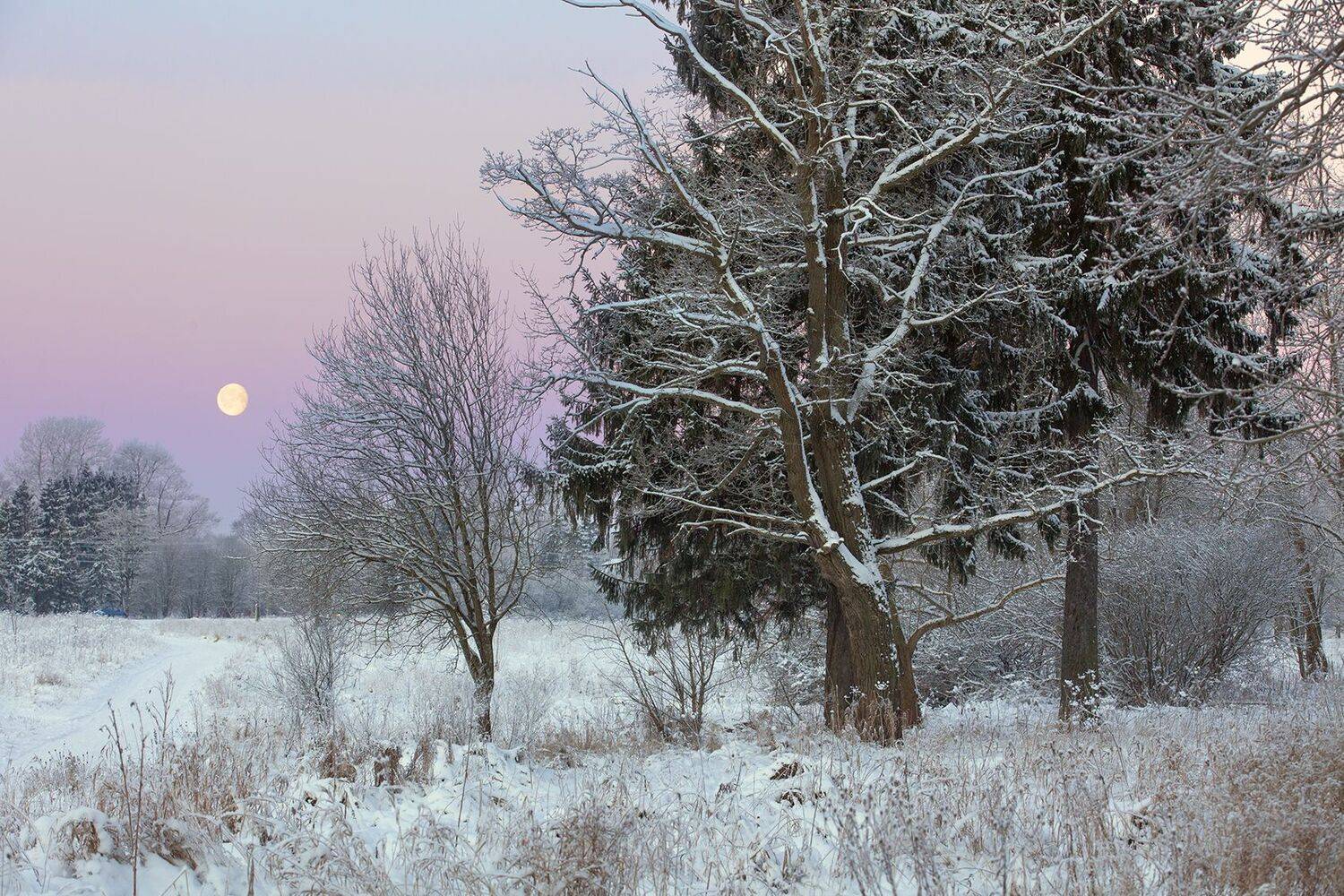 , александр
