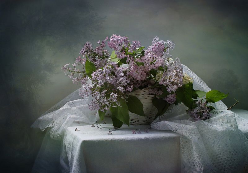 натюрморт, весна, сирень, цветы Так хочется сирени... фото превью