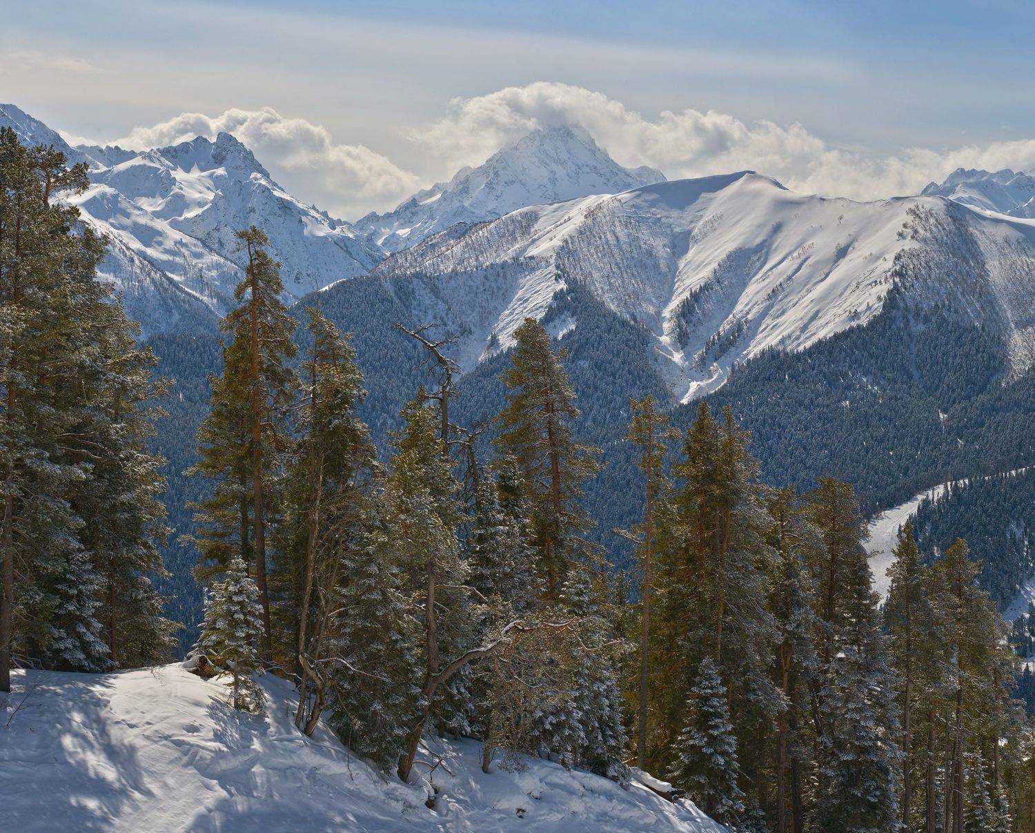кавкакз, архыз, сосны и горы, Сергей Седов