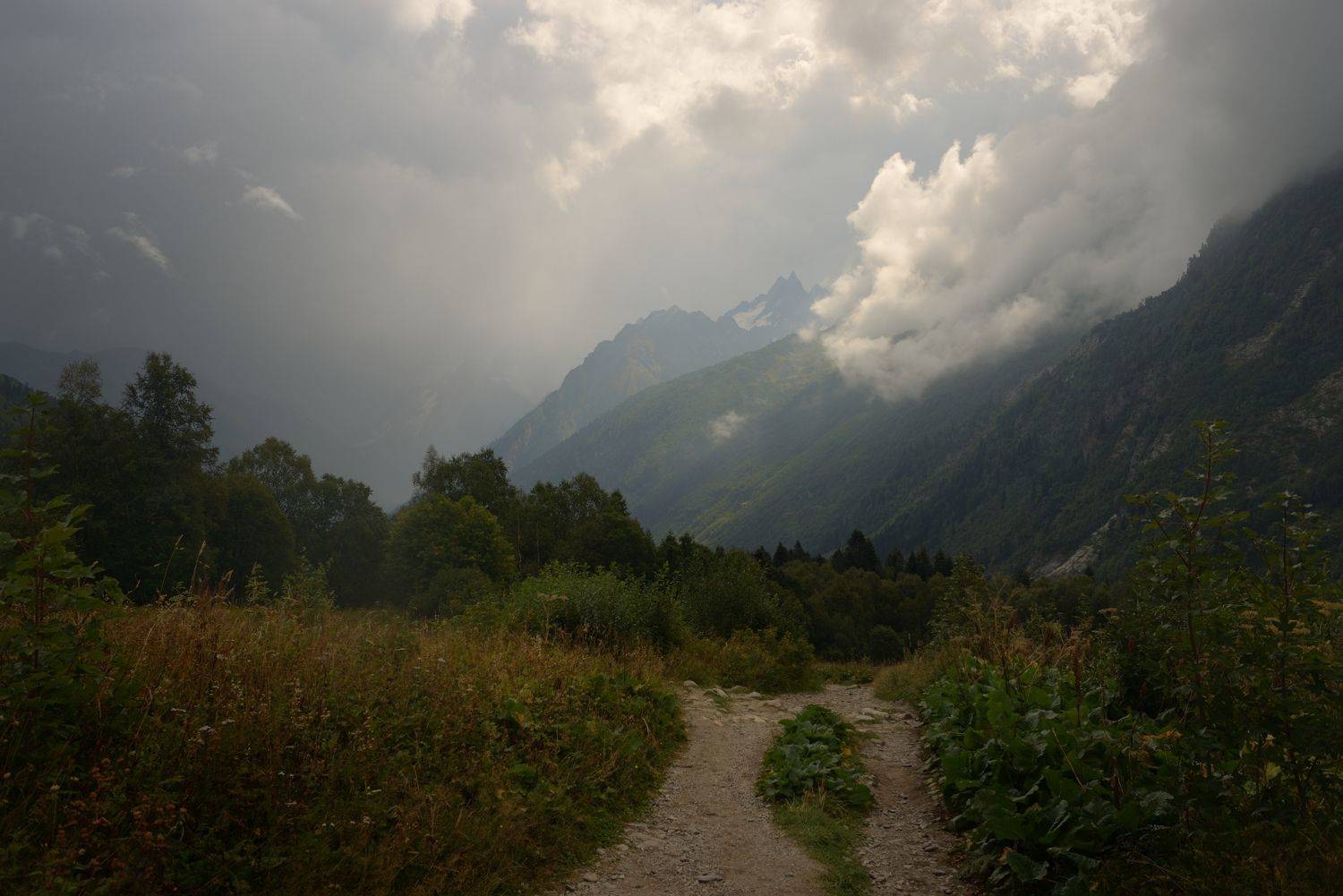 горы лето домбай, Александр Жарников