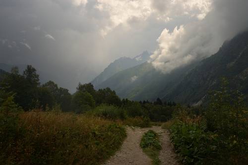 Перед дождем