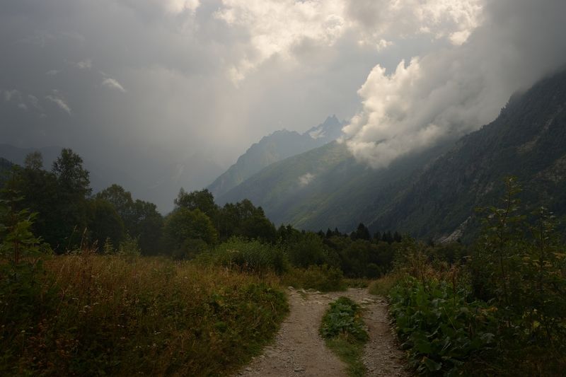 Перед дождем фото превью