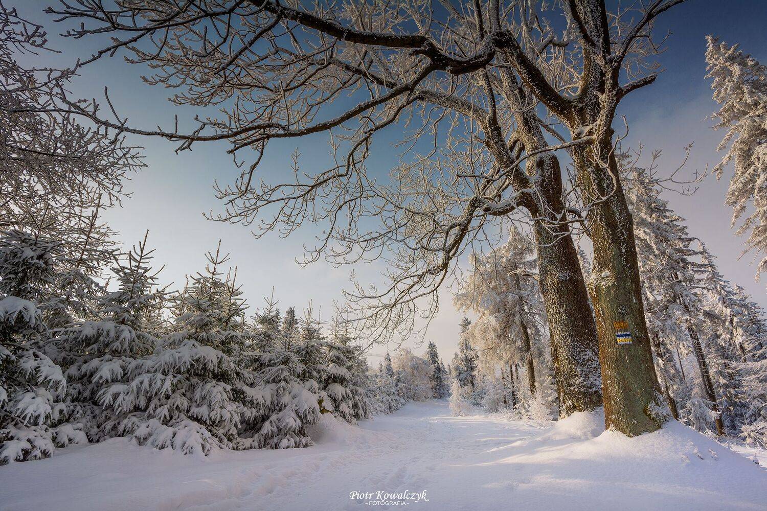 polska, zima, Kowalczyk Piotr