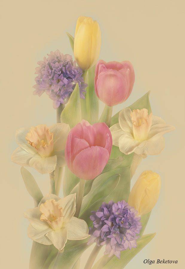 цветы, композиция, натюрморт, фото, ретро, Бекетова Ольга