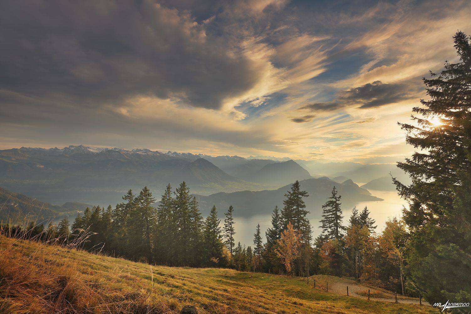 swiss, Матвеев Николай