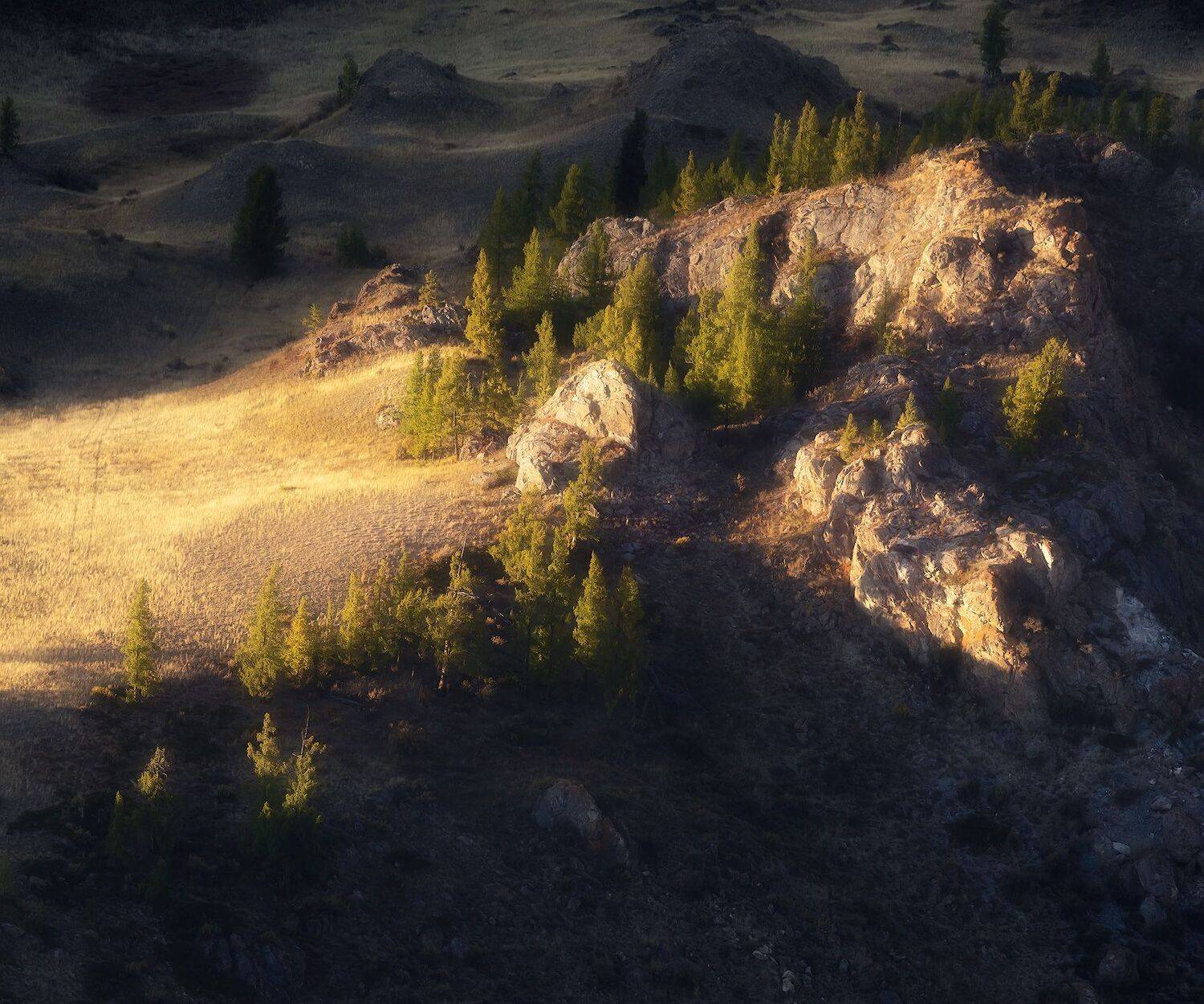 алтай, горы, курайская, степь, Марголин Алексей