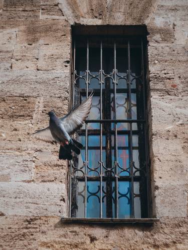 Благая весть.