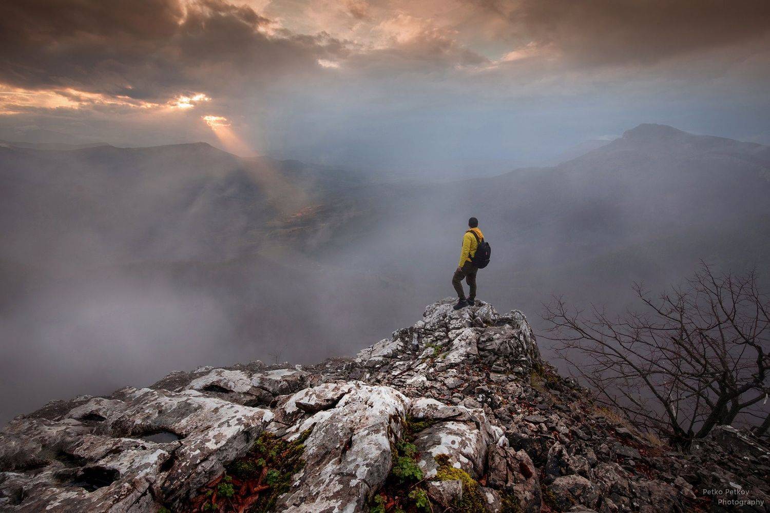 , Петко Петков