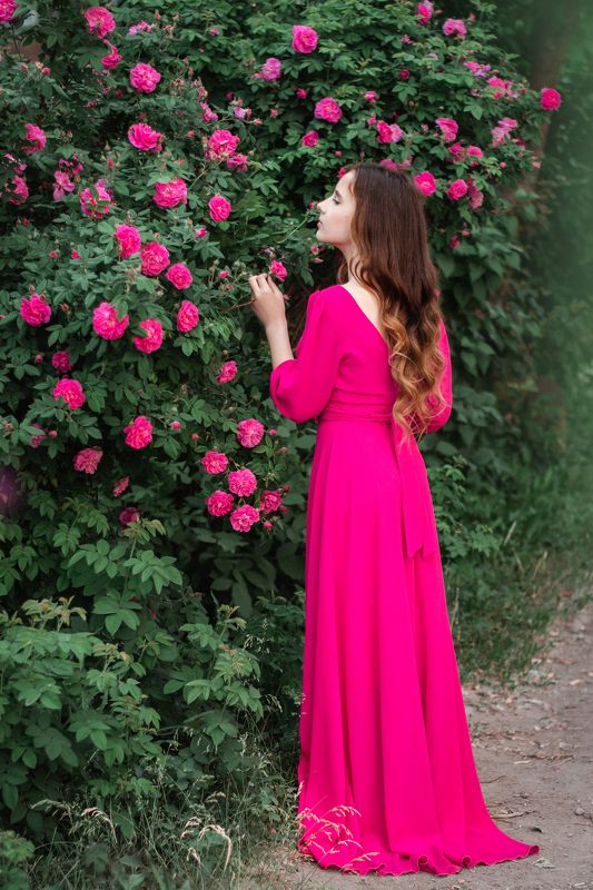 Шиповник фото превью