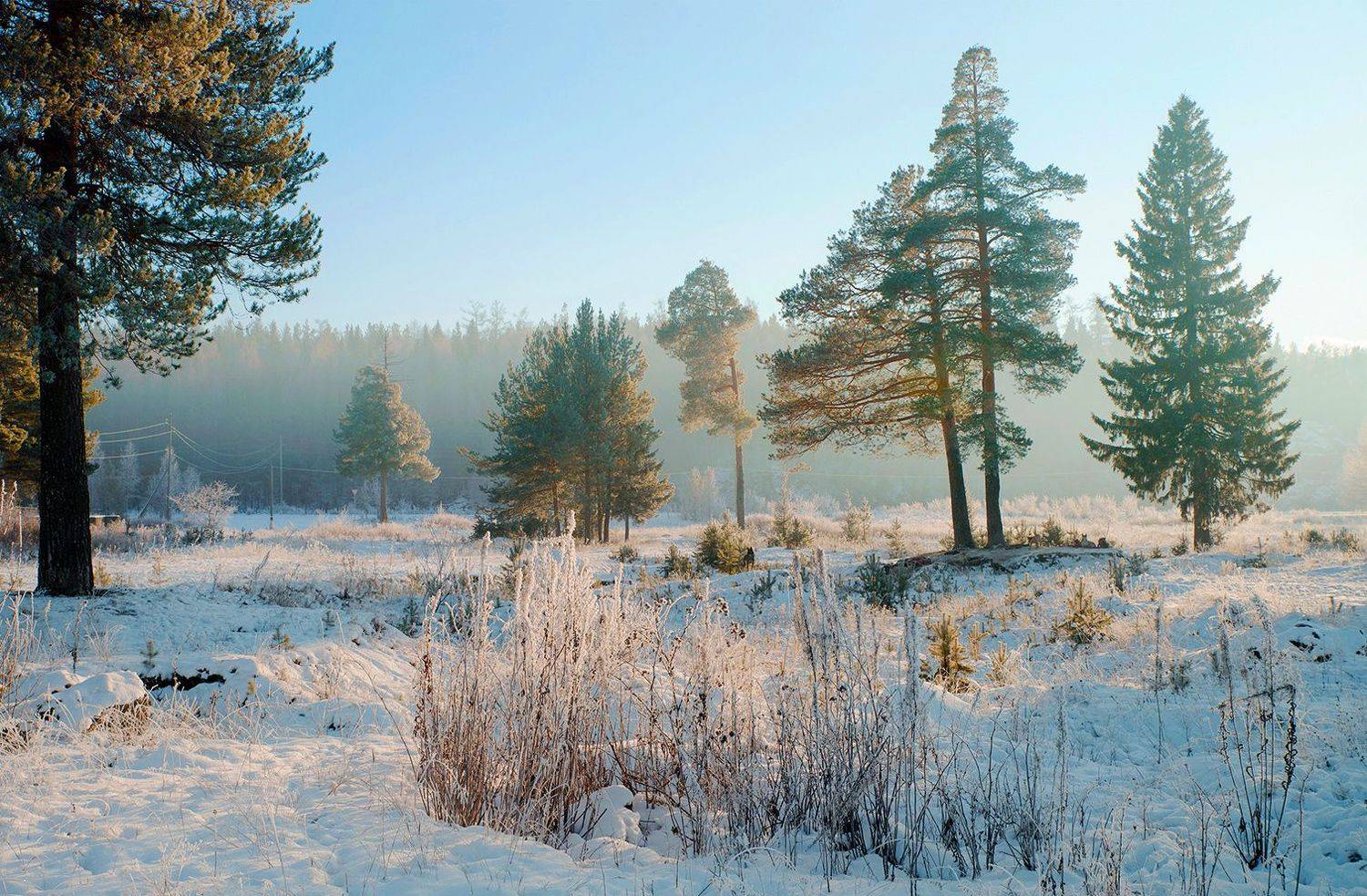 , Воинков Виктор