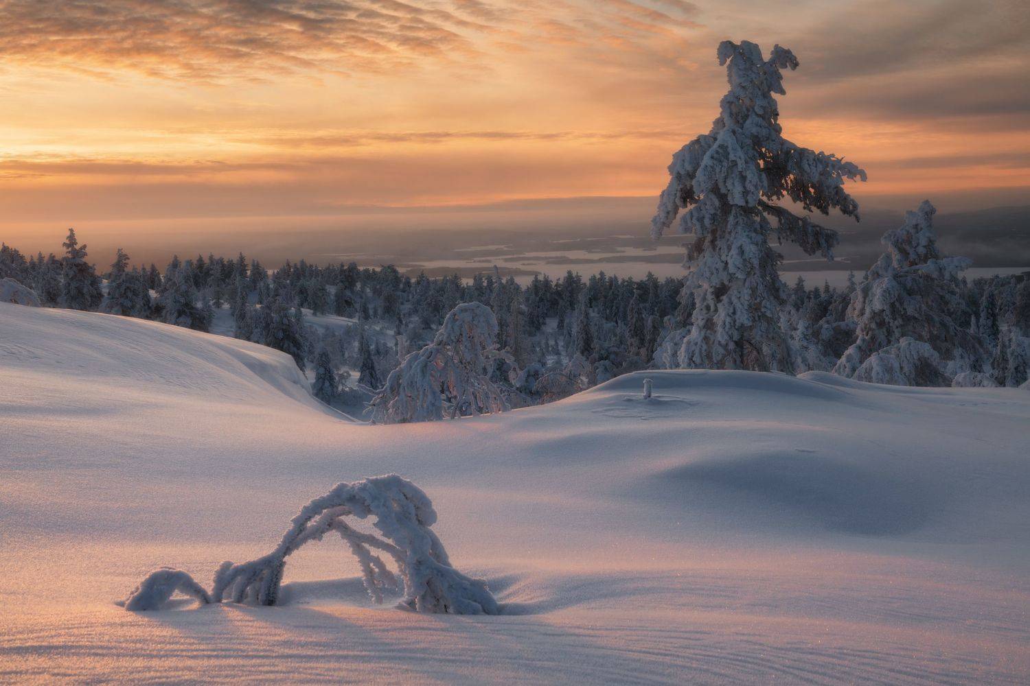 кандалакша, Сергей Алещенко