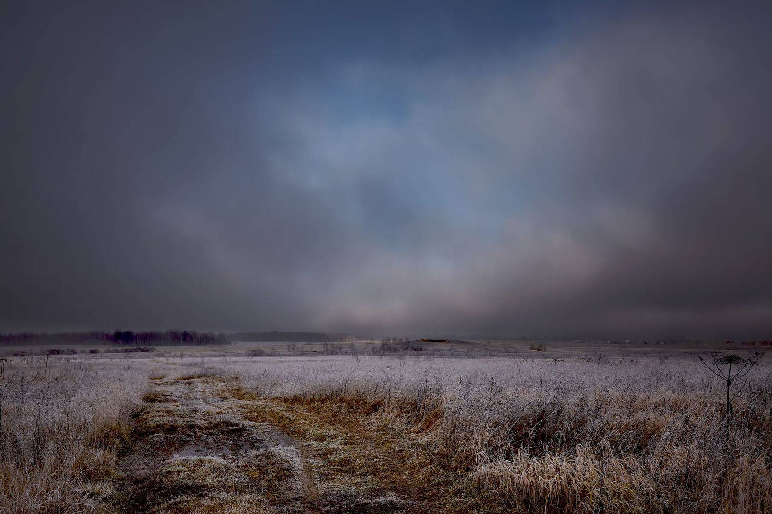 , Булатов Дмитрий