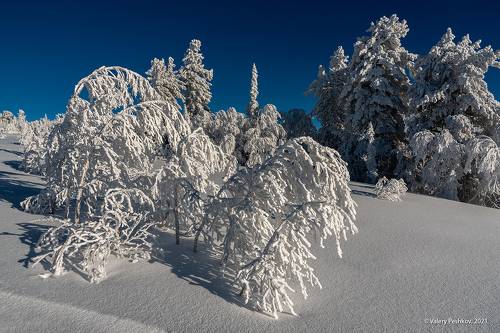 Pro cнежные кружева…