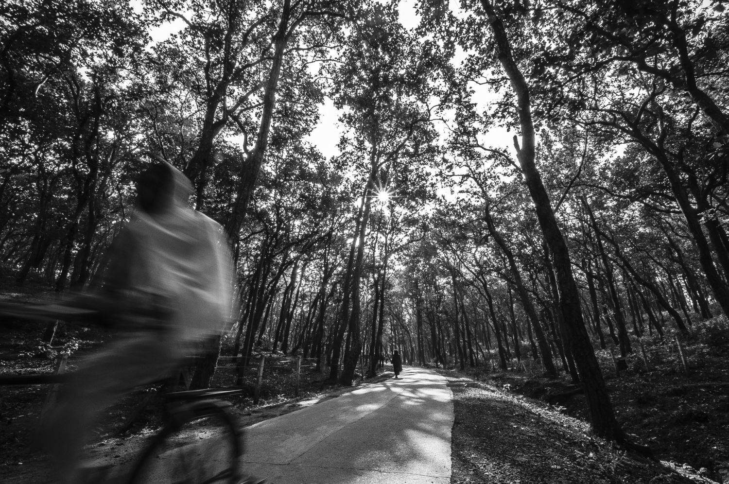 street, rider, ghost rider, blur, blurred, motion, Mallick Sudipta