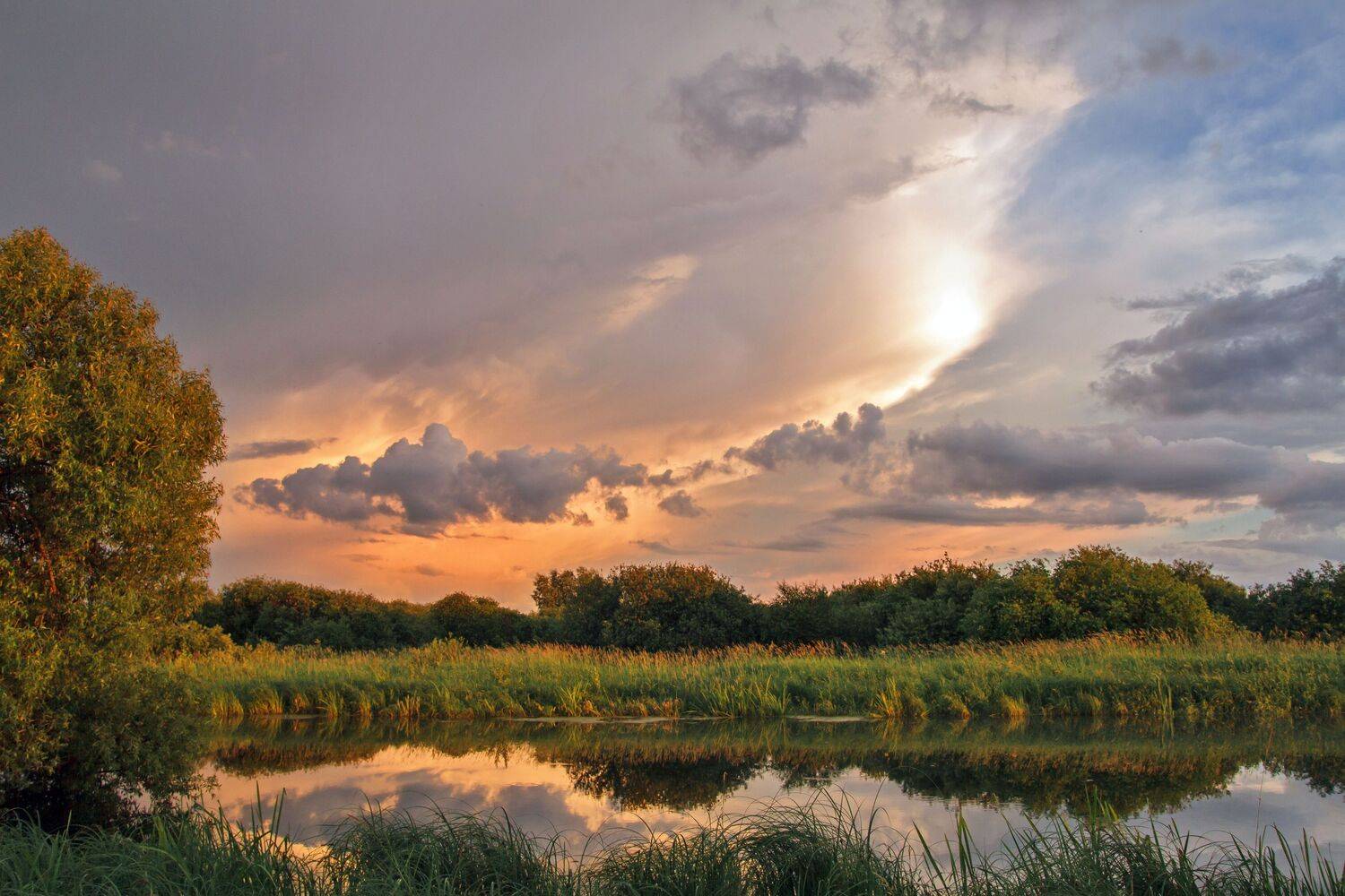 закат, солнце, лето, пейзаж, река, отражение, вода, Alexey Belov