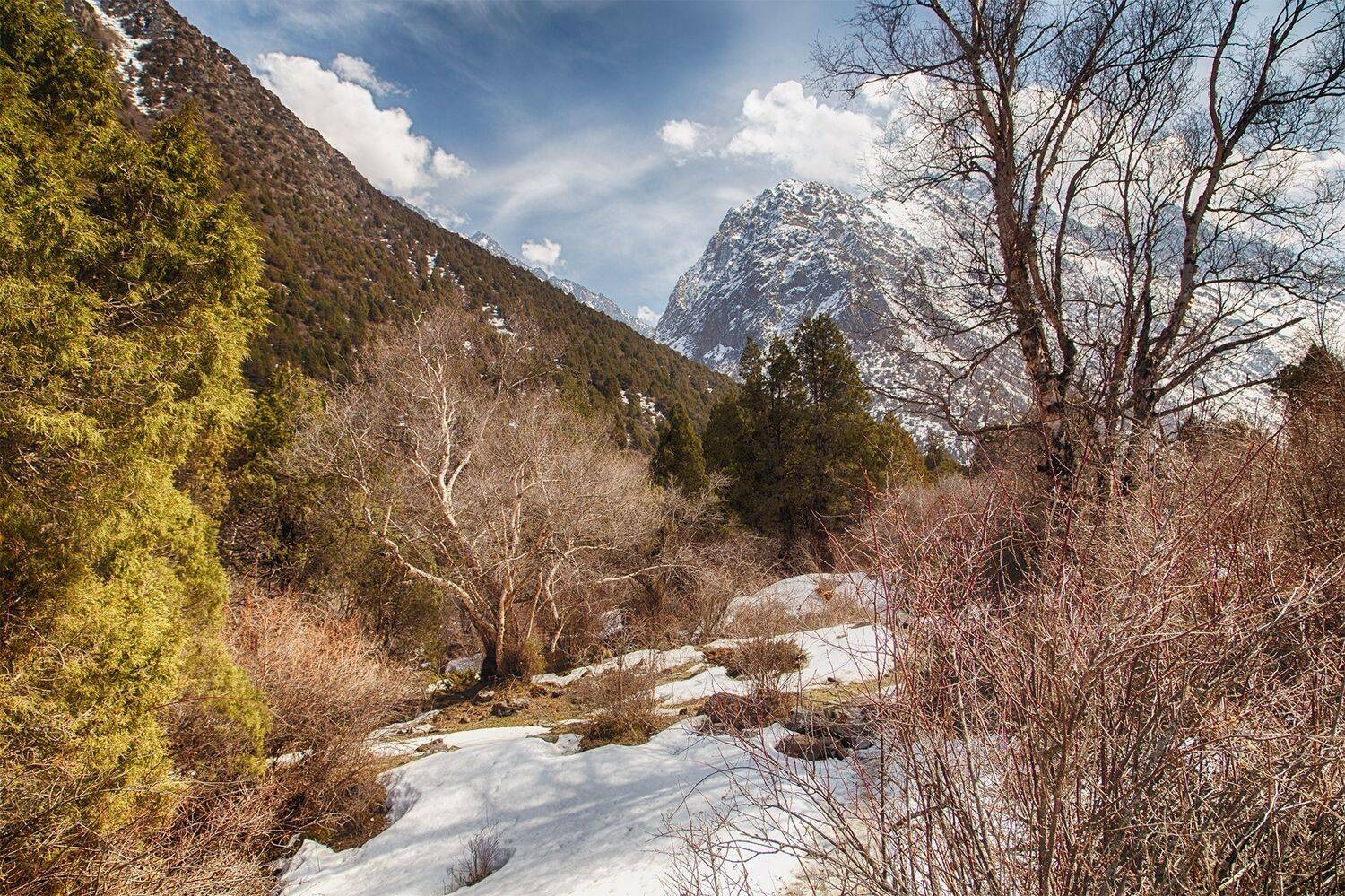 кыргызстан,горы, Элина Магалимова