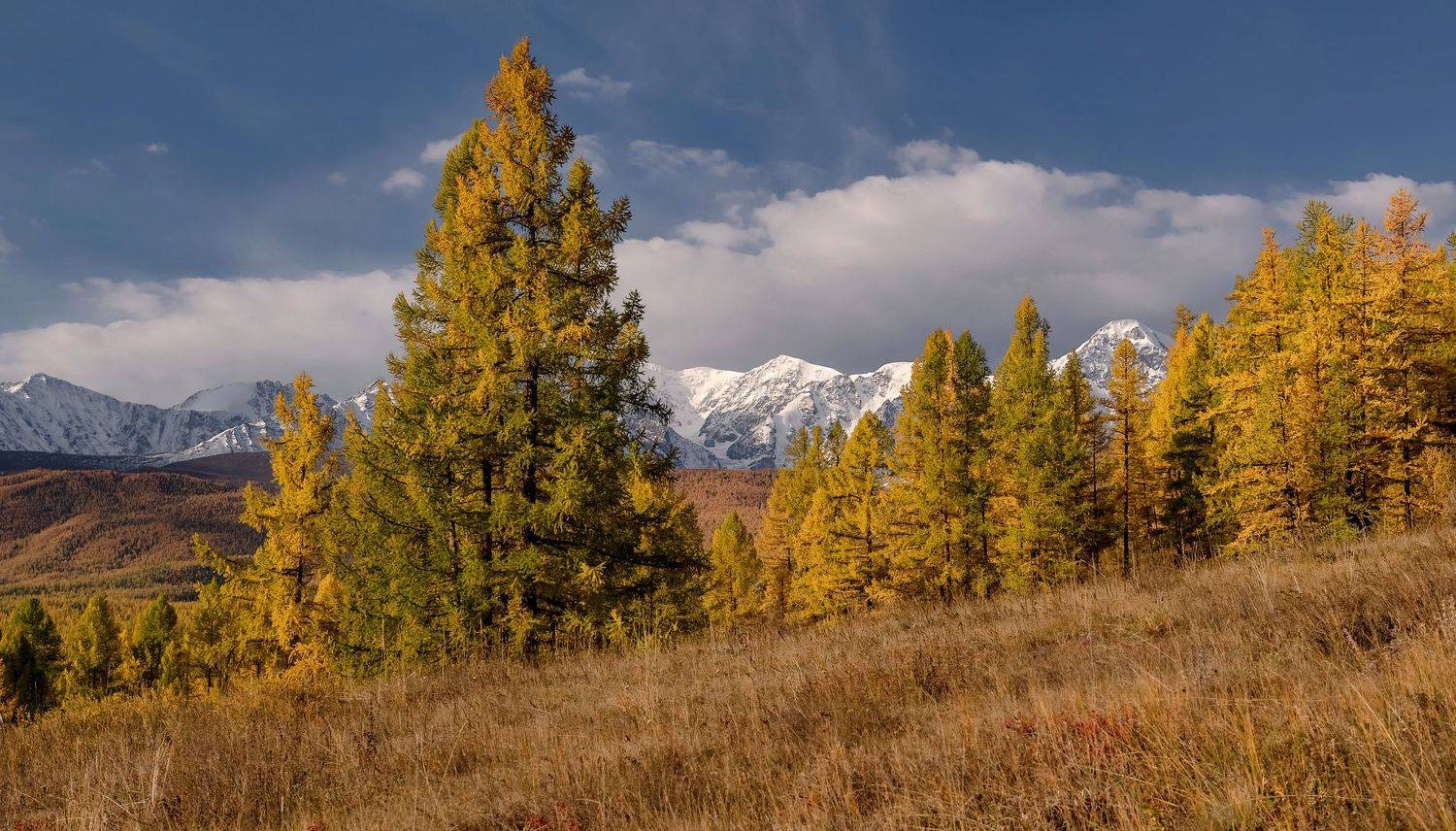 алтай, курайская степь., северо-чуйский хребет, Марина Фомина