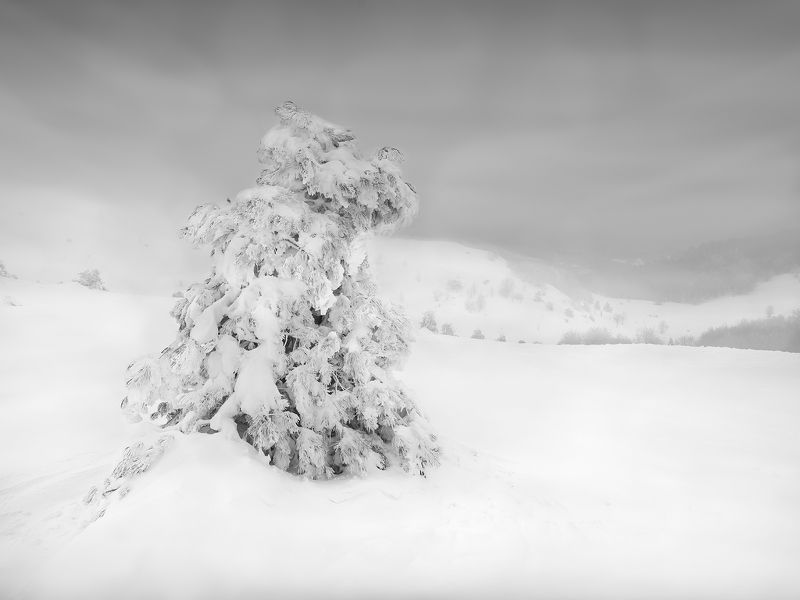 ... фото превью