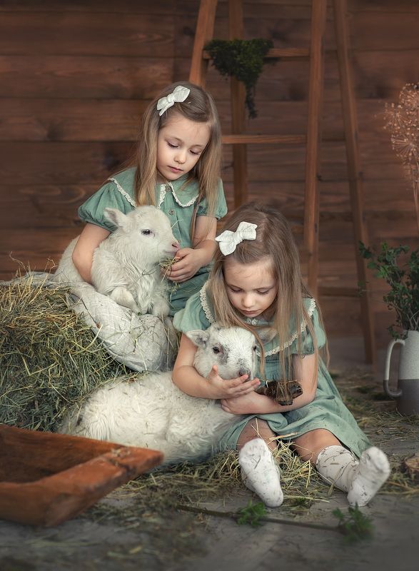 фото превью