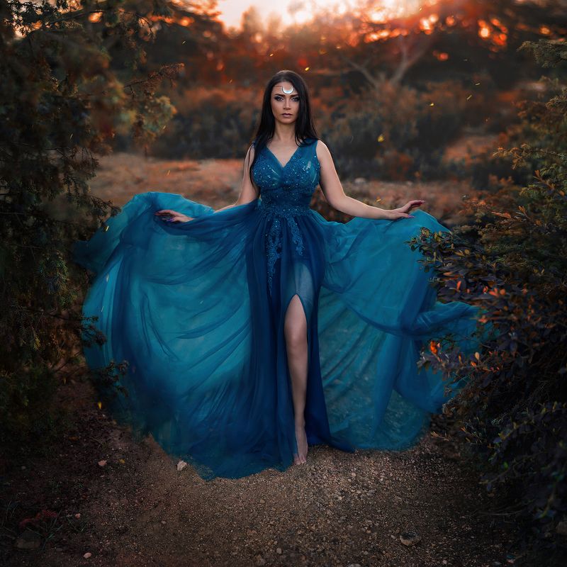 FAIRY NIGHT  фото превью