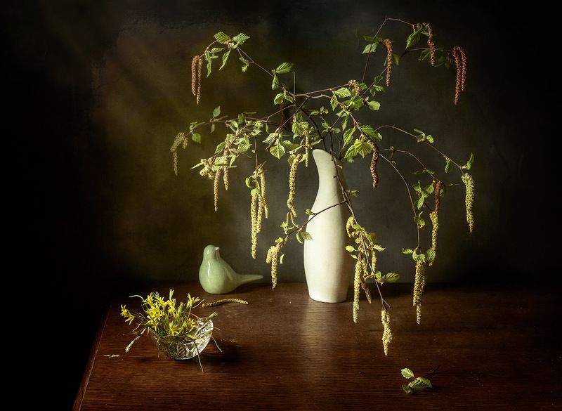 Весна пришла! Раскрылись первые листочки... фото превью