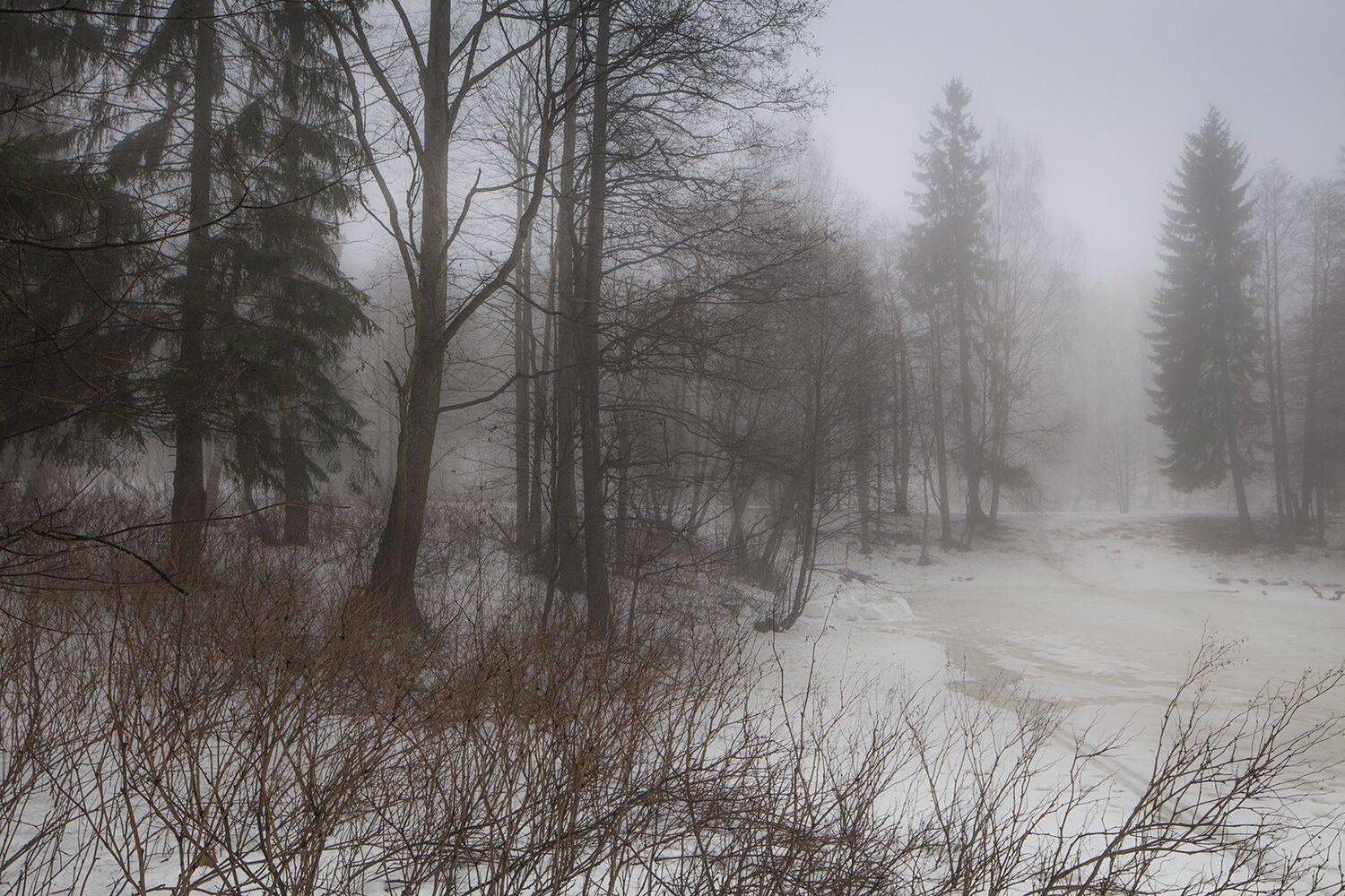 , александр