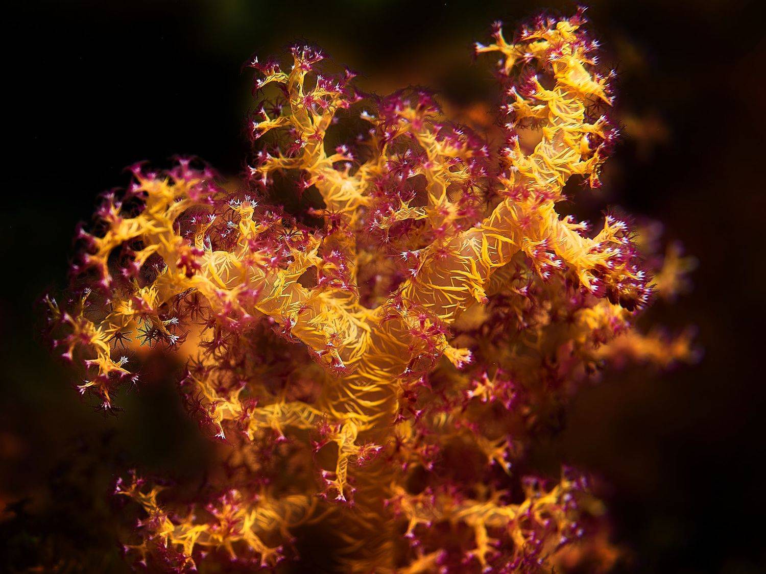 , Юрий Журавлев