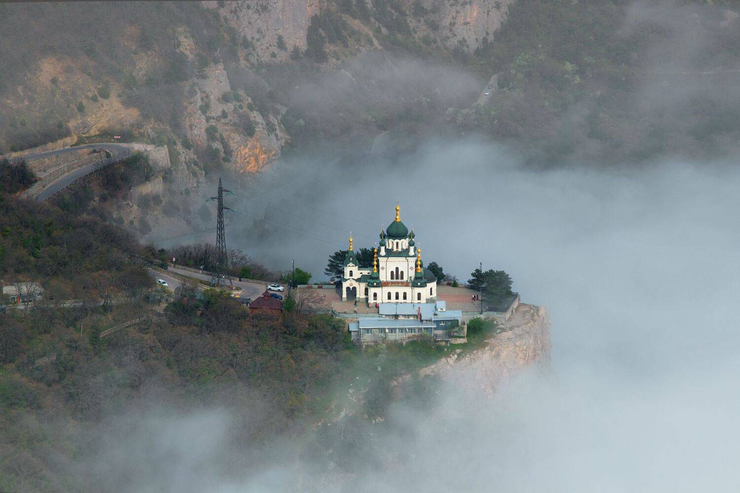 , Дмитрий Цыпляев