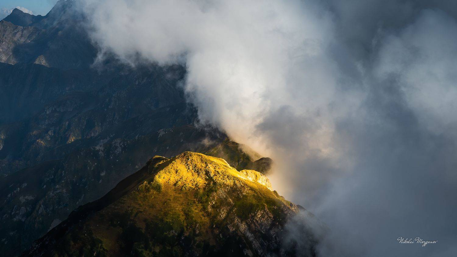 , Николай Мозгунов