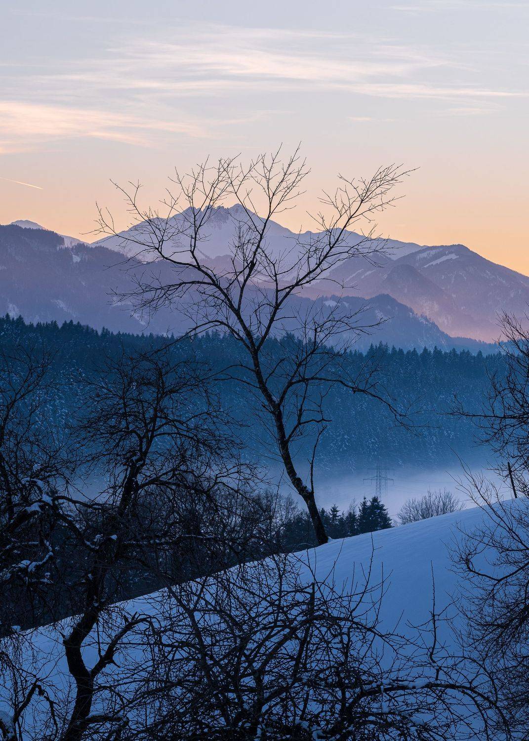 , Дмитрий Рябцев