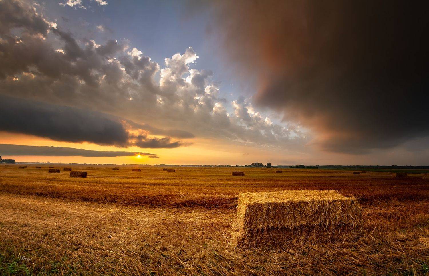 , Серж Домбровский