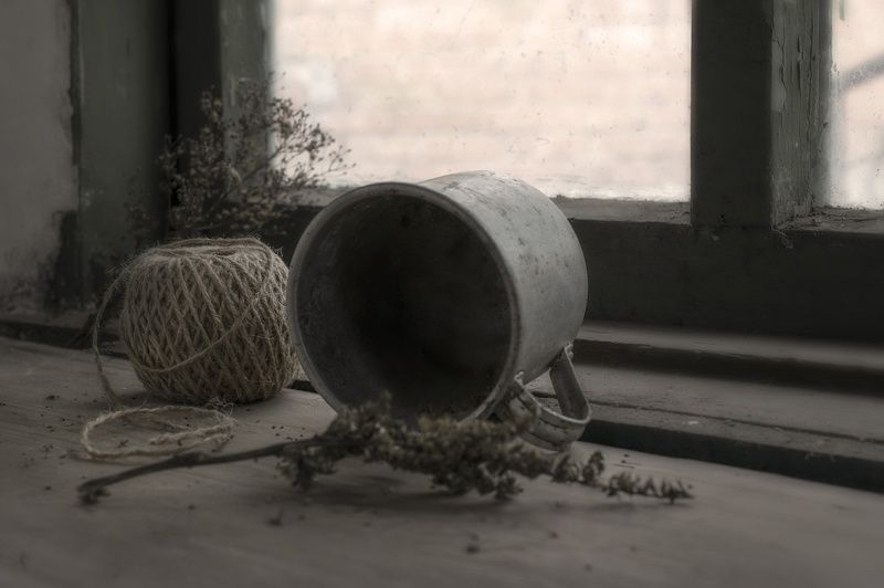 деревня, сухоцвет Забытое.. фото превью