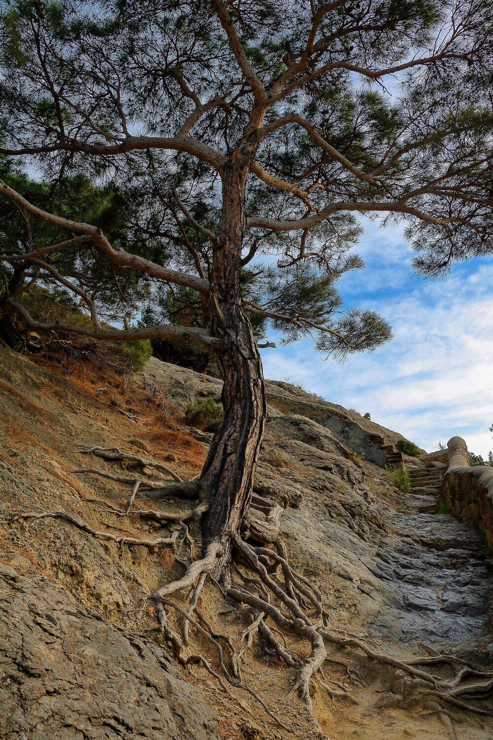 , Глебов Сергей