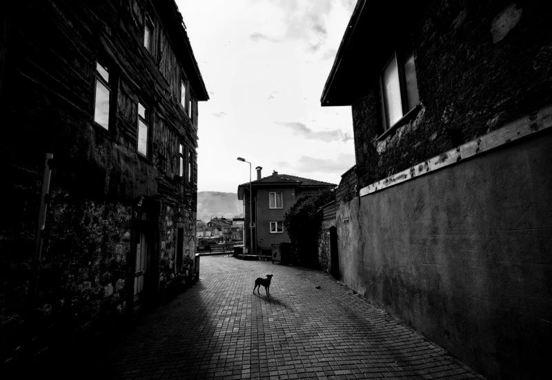 street, bnw Alone фото превью