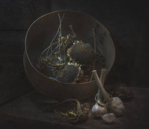 Старое решето