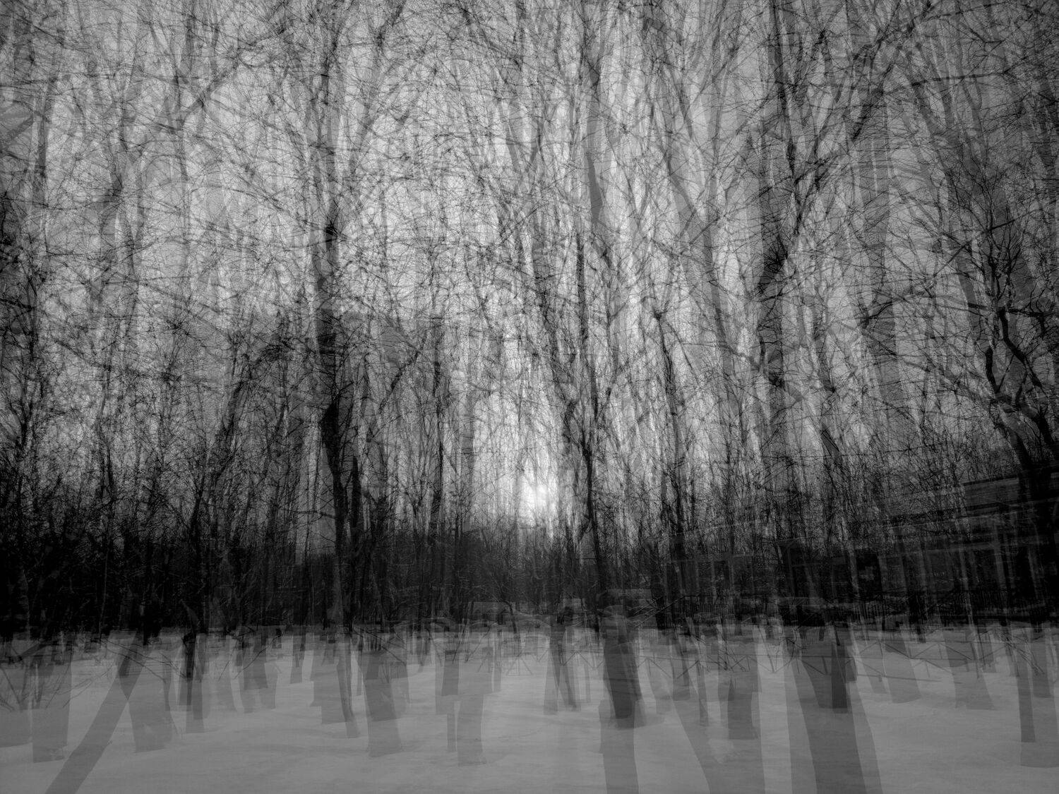 , Антон Лаба