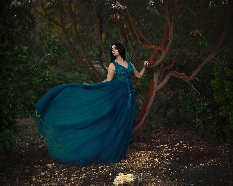 FAIRY NIGHT  фото превью