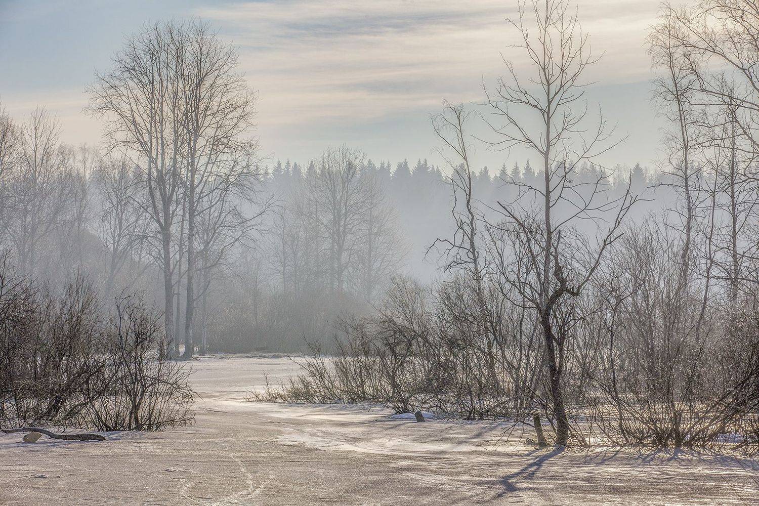 , александр