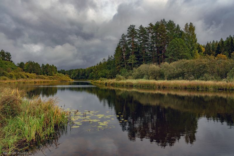 река, осень, небо, облака, тверская область, река волчина Перед дождём фото превью